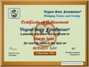 Monkey day 