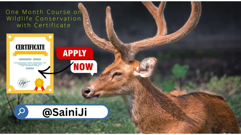 Course on Wildlife Conservation with Certificate Course on Wildlife Conservation with Certificate