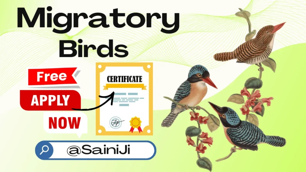 Quiz Competition on Migratory Birds Certificate Quiz Competition on Migratory Birds Certificate