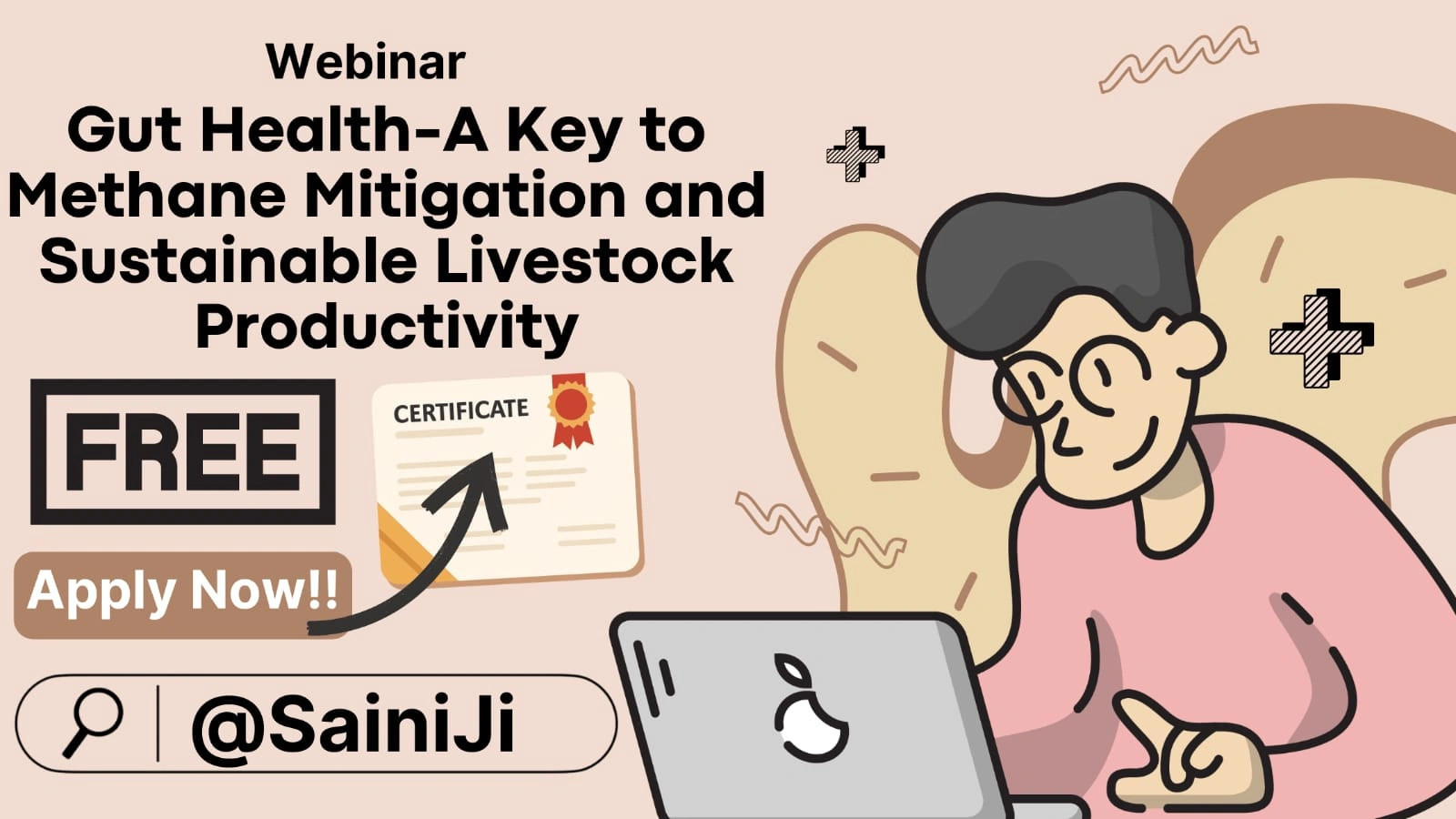 Webinar on Gut Health Certificate Webinar on Gut Health Certificate
